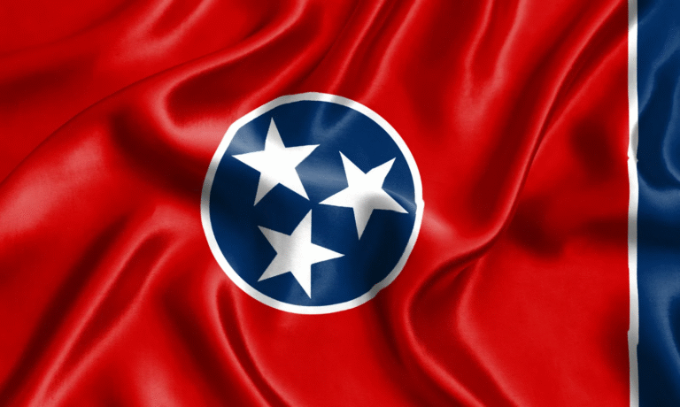 Sixth Circuit Allows Tennessee to Enforce Age Verification Law